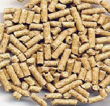 Havens - Scharrel Korrel, 25 KG